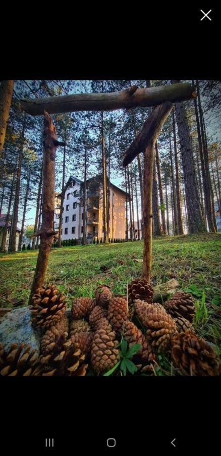 Apartman Pavle Zlatibor Exterior foto