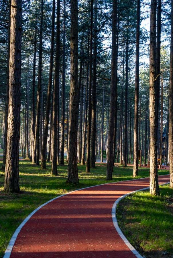 Apartman Pavle Zlatibor Exterior foto